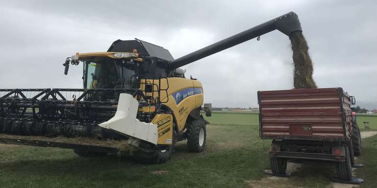 Bio-Sojabohne_Versuchsernte am 9. Oktober 2023.jpg © BWSB/Gerstl