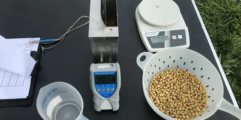 Bio-Sojabohne_Versuchsernte am 9. Oktober 2023.jpg © BWSB/Gerstl