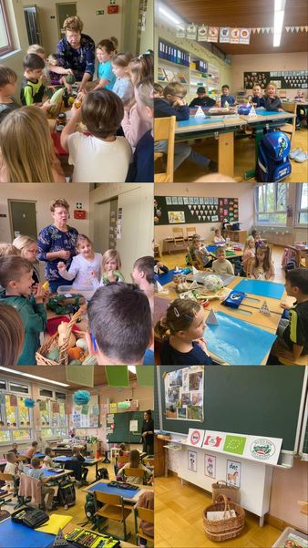 VS Teesdorf 1.jpg VS Teesdorf 1.jpg