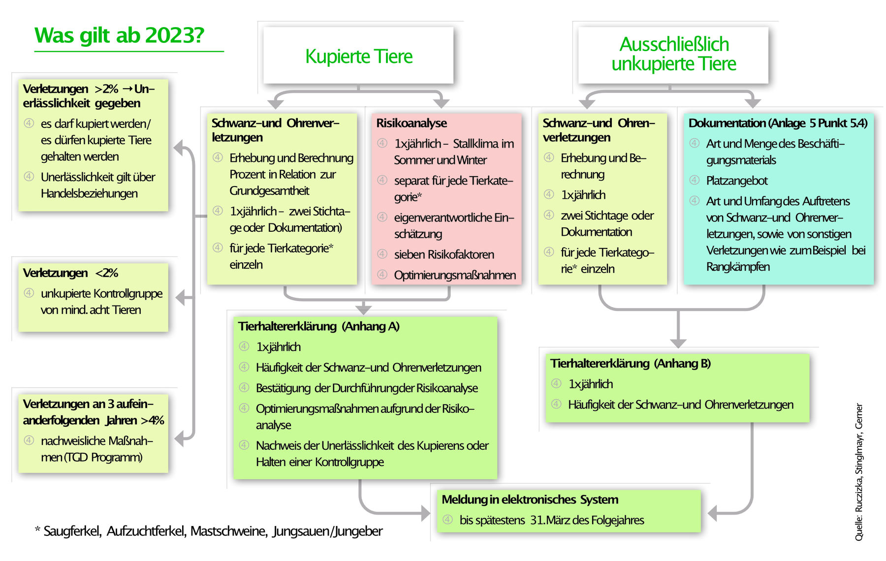 Tierhaltererklärung für alle Schweinehalter  ab 2024 Pflicht.jpg © LK Salzburg Tierhaltererklärung für alle Schweinehalter  ab 2024 Pflicht.jpg © LK Salzburg