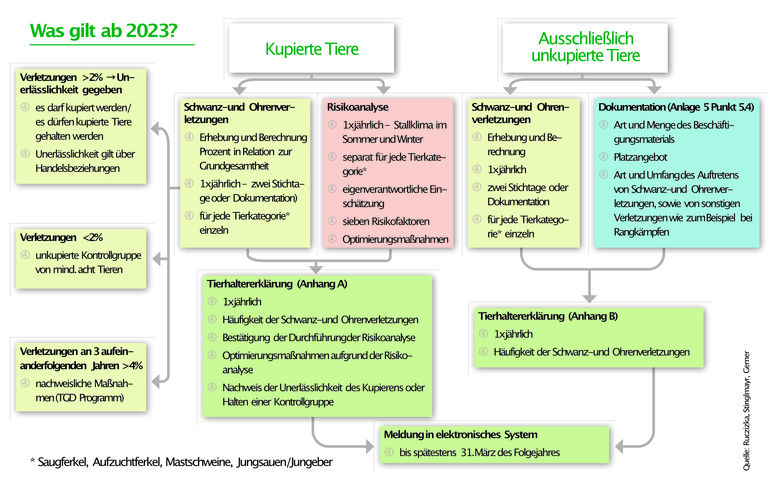 Tierhaltererklärung für alle Schweinehalter ab 2024 Pflicht.jpg © LK Salzburg Tierhaltererklärung für alle Schweinehalter ab 2024 Pflicht.jpg © LK Salzburg