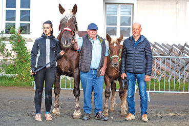 Spitzenpreise  trotz angespannter Marktsituation.jpg © Rossinger/Popatnig