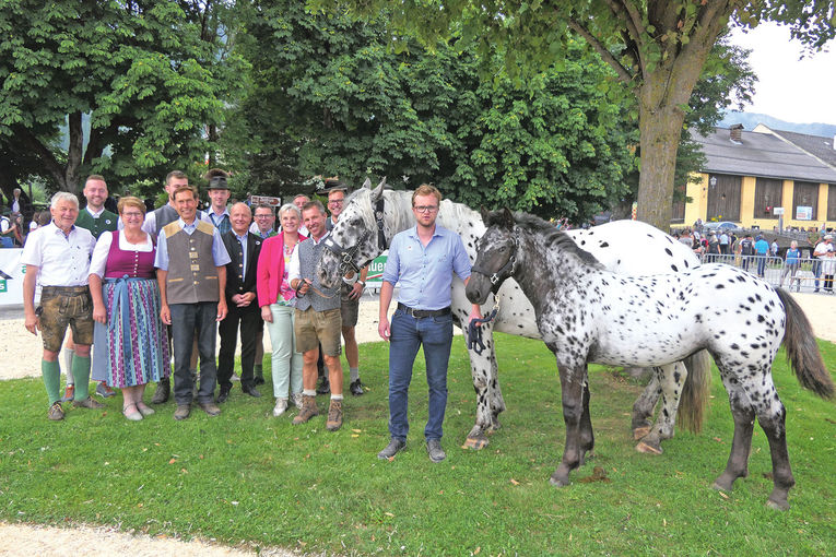 Spitzenpreise  trotz angespannter Marktsituation.jpg © Lanschützer
