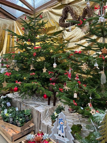 Exkursion November 2023 © Die Bäuerinnen im Gebiet Groß Enzersdorf Exkursion November 2023 © Die Bäuerinnen im Gebiet Groß Enzersdorf