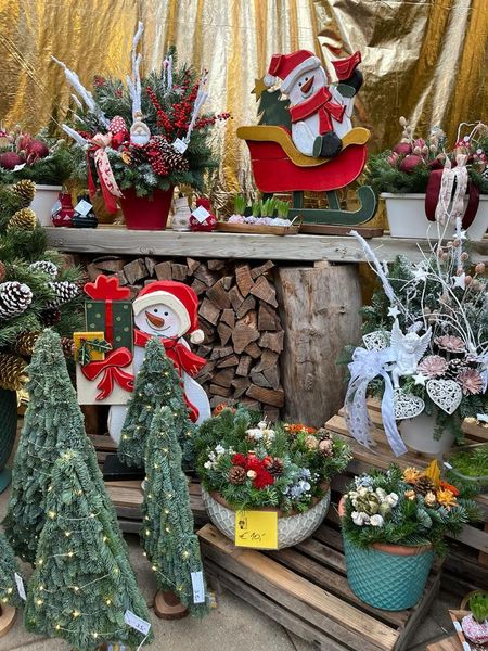 Exkursion November 2023 © Die Bäuerinnen im Gebiet Groß Enzersdorf Exkursion November 2023 © Die Bäuerinnen im Gebiet Groß Enzersdorf