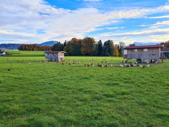 © LK Niederösterreich