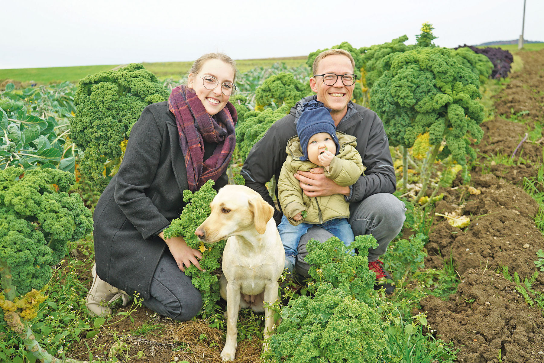 Bio-Gemüse: Nur gemeinsam geht‘s.jpg © Michael Hatheier Bio-Gemüse: Nur gemeinsam geht‘s.jpg © Michael Hatheier