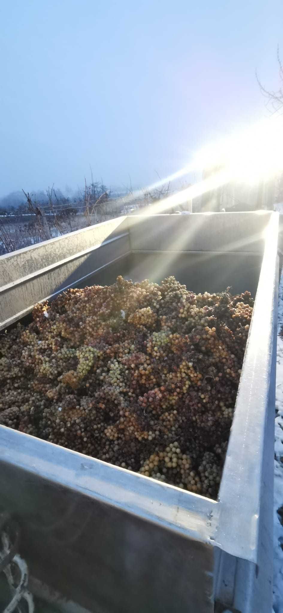 Magdalenenhof Kaiser2.jpg © Magdalenenhof Kaiser Magdalenenhof Kaiser2.jpg © Magdalenenhof Kaiser