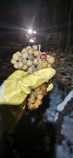 Magdalenenhof Kaiser3.jpg © Magdalenenhof Kaiser Magdalenenhof Kaiser3.jpg © Magdalenenhof Kaiser