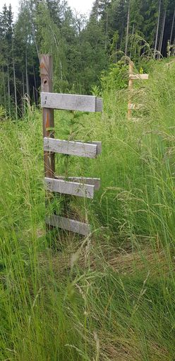 Baumwaechter©Gernot Kummer (5).jpg © Gernot Kummer Baumwaechter©Gernot Kummer (5).jpg © Gernot Kummer