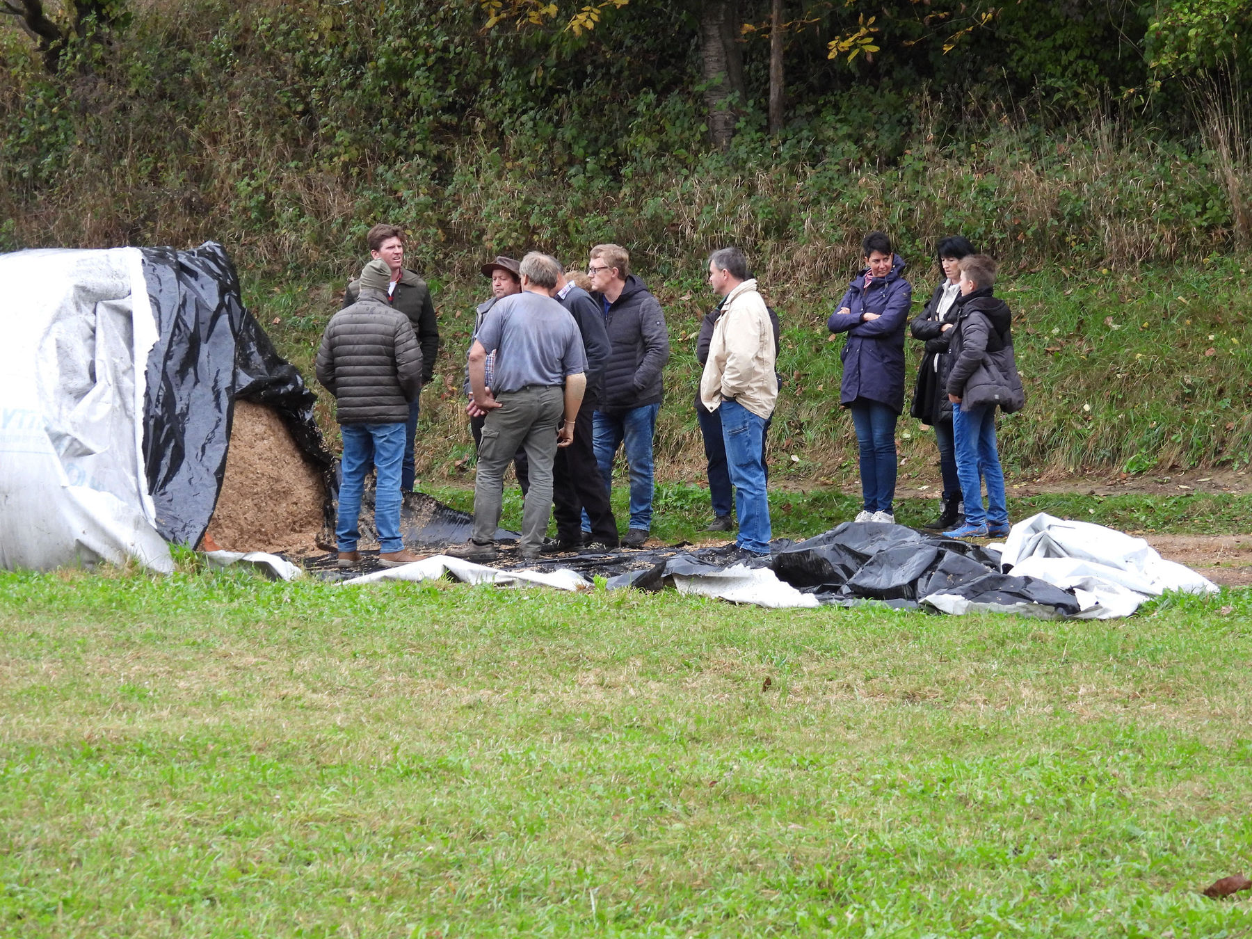 So wirtschaften  Niederösterreichs  Mutterkuh-Betriebe.jpg © Dipl.-Ing. agr. Sandra Pfuner, ABL So wirtschaften  Niederösterreichs  Mutterkuh-Betriebe.jpg © Dipl.-Ing. agr. Sandra Pfuner, ABL