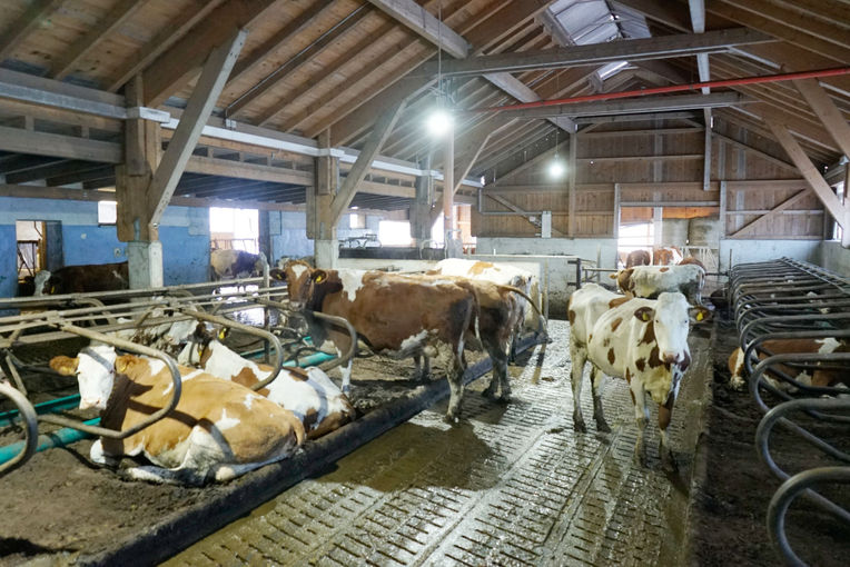 Betriebsreportage Gierlinger.jpg © Michael Hatheier Betriebsreportage Gierlinger.jpg © Michael Hatheier
