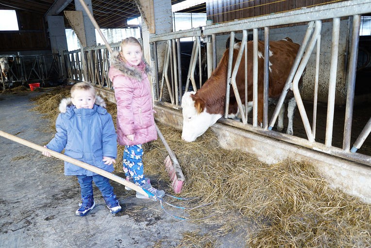 Betriebsreportage Gierlinger.jpg © Michael Hatheier Betriebsreportage Gierlinger.jpg © Michael Hatheier