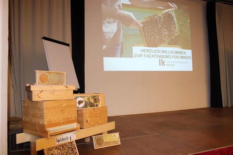 © Frießnegger/LK Kärnten © Frießnegger/LK Kärnten