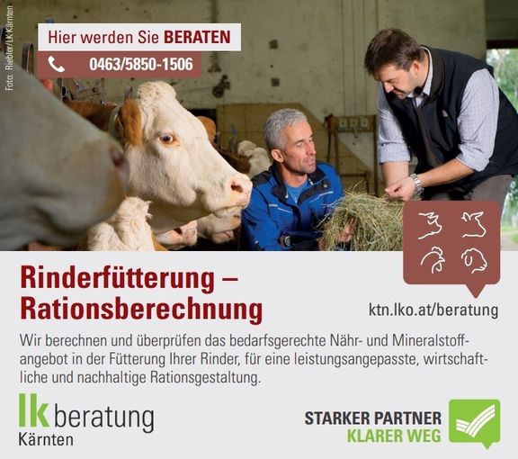 Rinderfütterung Rationsberechnung.jpg © Archiv