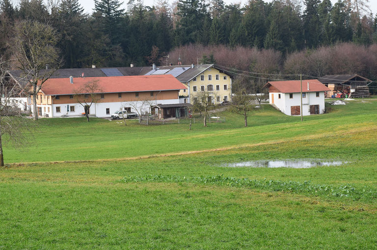 Betriebsreportage Guggenberger.jpg