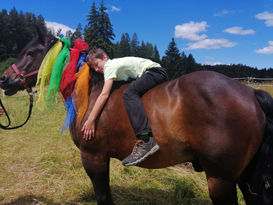 Hermanig-Therapie auf dem Pferd 1.jpg