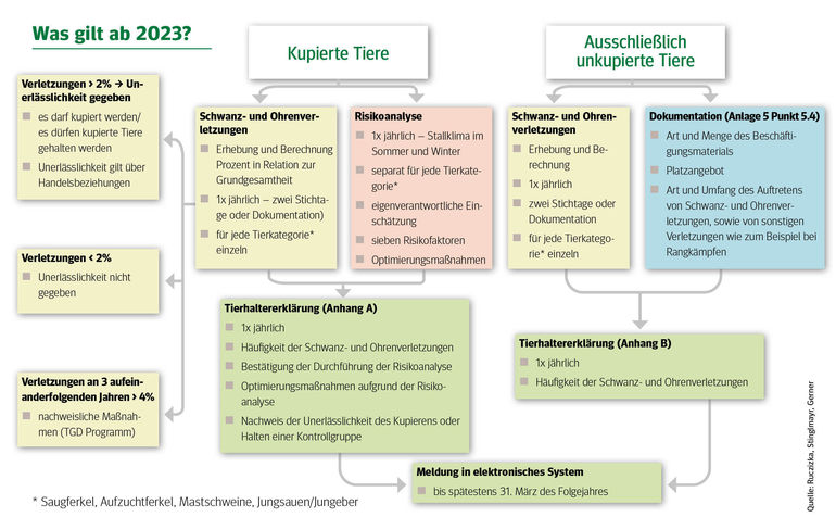 Grafik_Kupieren_Was gilt ab 2023.jpg © LK Niederösterreich Grafik_Kupieren_Was gilt ab 2023.jpg © LK Niederösterreich