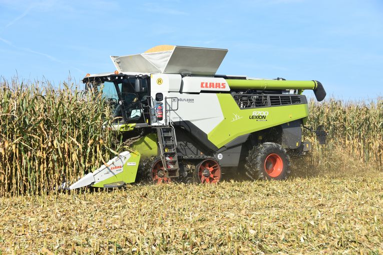 Nasses Frühjahr und trockener Sommer führten 2023 zu niedrigen Maiserträgen, LK OÖ - Kastenhuber.jpg © LK OÖ/Kastenhuber Nasses Frühjahr und trockener Sommer führten 2023 zu niedrigen Maiserträgen, LK OÖ - Kastenhuber.jpg © LK OÖ/Kastenhuber