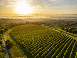 wien-grinzing-herbst-0654.jpg © RWK Wien / Robert Herbst wien-grinzing-herbst-0654.jpg © RWK Wien / Robert Herbst