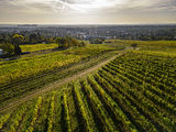 wien-mauer-herbst-0698.jpg © RWK Wien / Robert Herbst