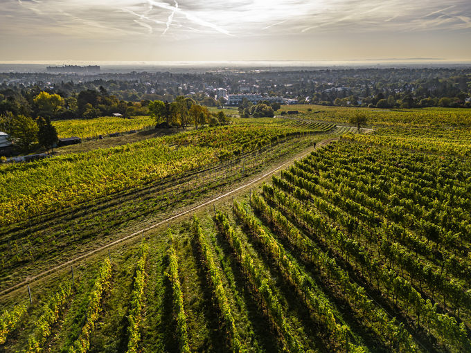 wien-mauer-herbst-0698.jpg © RWK Wien / Robert Herbst