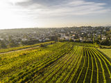 wien-neustift-sackederherbst-0688.jpg © RWK Wien / Robert Herbst wien-neustift-sackederherbst-0688.jpg © RWK Wien / Robert Herbst