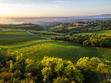 wien-nussberg-herbst-0649.jpg © RWK Wien / Robert Herbst