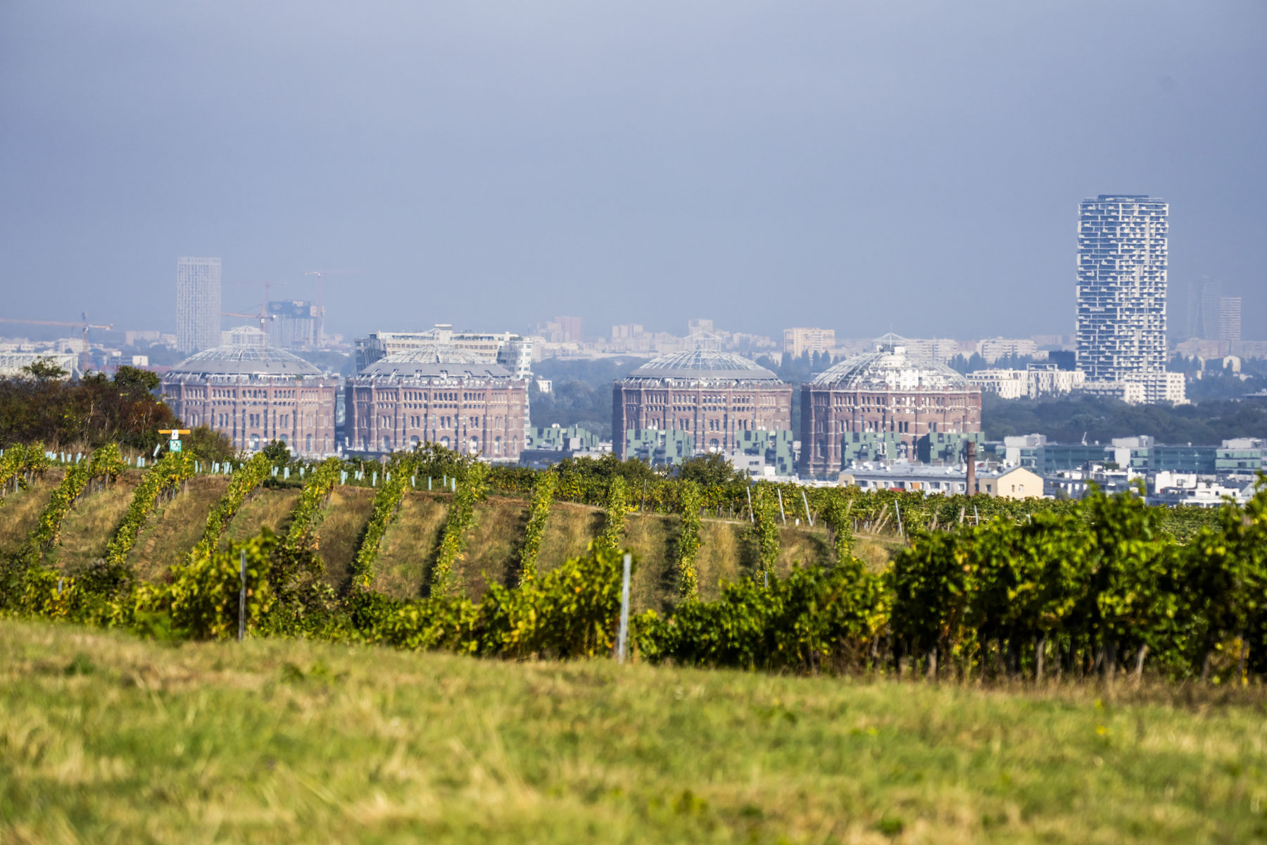 wien-oberlaa-herbst-4399.jpg © RWK Wien / Robert Herbst