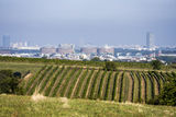 wien-oberlaa-herbst-4406_Ortswein.jpg © RWK Wien / Robert Herbst