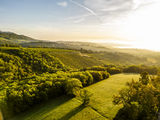 wien-sievering-herbst-0665.jpg © RWK Wien / Robert Herbst wien-sievering-herbst-0665.jpg © RWK Wien / Robert Herbst