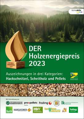 Cover der Holzenergiepreisbroschüre