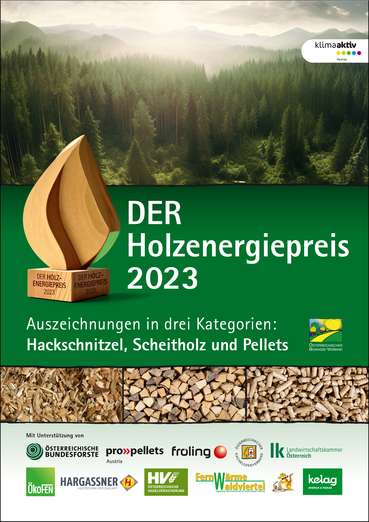 Cover der Holzenergiepreisbroschüre