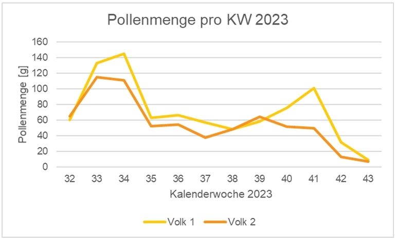 Entwicklung Pollenmenge von Volk 1 und Volk 2 am Standort Kirchdorf Inn pro KW 2023.jpg