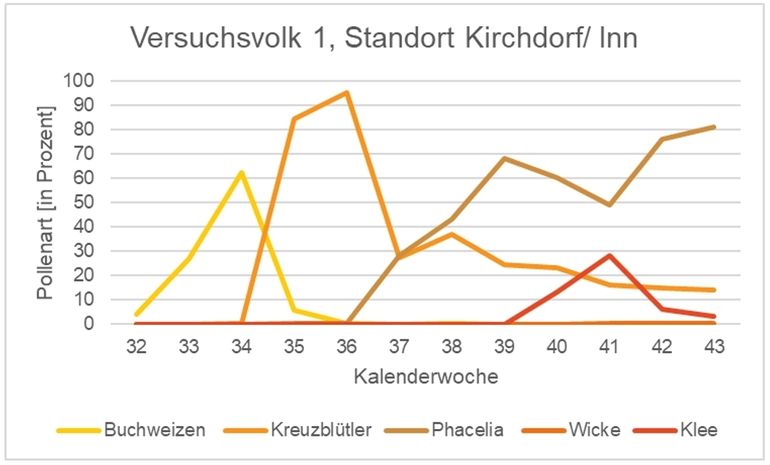 Analyse des eingetragenen Pollens nach Pollenart pro Kalenderwoche beim Versuchsvolk 1 am Standort Kirch-dorf Inn.jpg