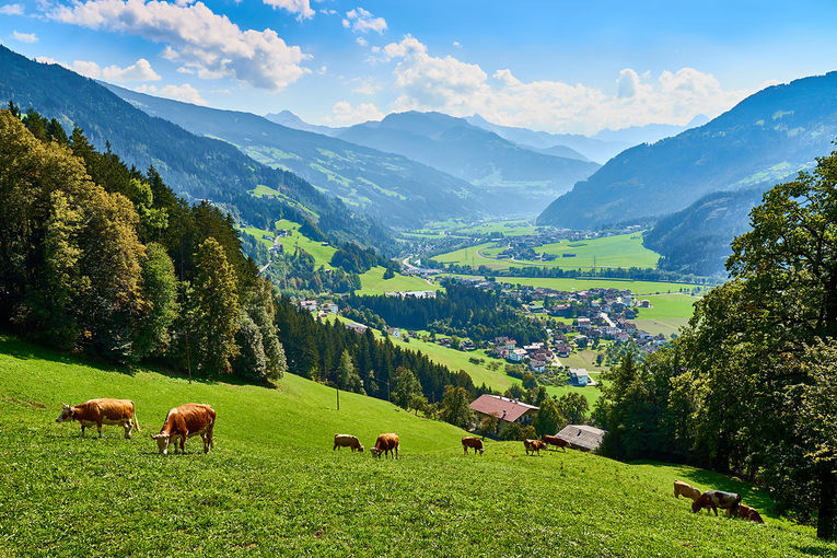 marako85_AdobeStock_254446673_Zillertal_Sommer.jpg © Foto: marako85– stock.adobe.com marako85_AdobeStock_254446673_Zillertal_Sommer.jpg © Foto: marako85– stock.adobe.com