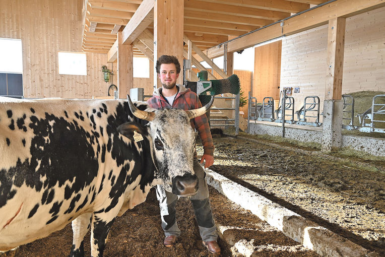 Kaiserliche Rasse in einem königlichen  Stall .jpg © Mooslechner Kaiserliche Rasse in einem königlichen  Stall .jpg © Mooslechner