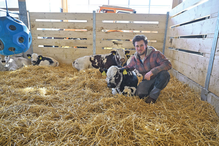 Kaiserliche Rasse in einem königlichen  Stall .jpg © Mooslechner