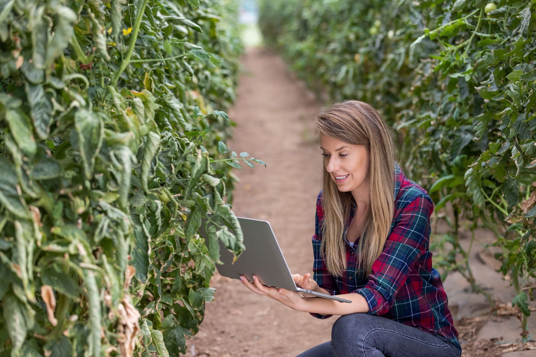 Aufzeichnungsbonus.jpg © Dragana Gordic/stock.adobe.com Aufzeichnungsbonus.jpg © Dragana Gordic/stock.adobe.com