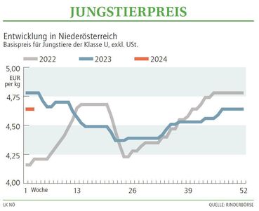 Grafik Stierpreis 03 2024.jpg