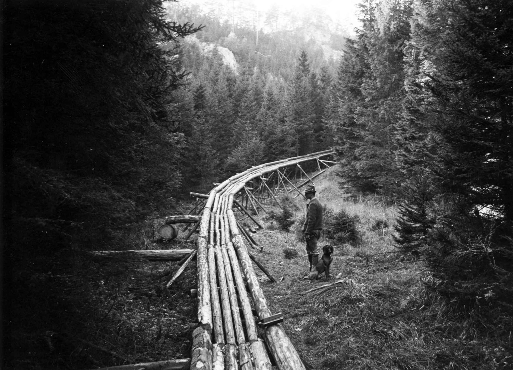 Holzrutsche.jpg © Archiv Holzrutsche.jpg © Archiv