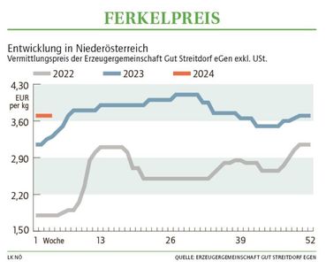 Grafik Ferkelpreis 04 2024.jpg