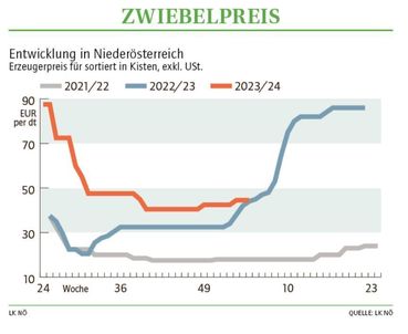 Grafik Zwiebelpreis 04 2024.jpg