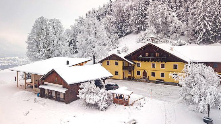 Weideochsen im Nebenerwerb.jpg © Hatheier Weideochsen im Nebenerwerb.jpg © Hatheier