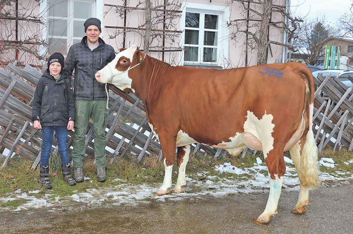 Besucheransturm und Toptiere bei Maishofener Jubiläum.jpg © RZV Salzburg Besucheransturm und Toptiere bei Maishofener Jubiläum.jpg © RZV Salzburg
