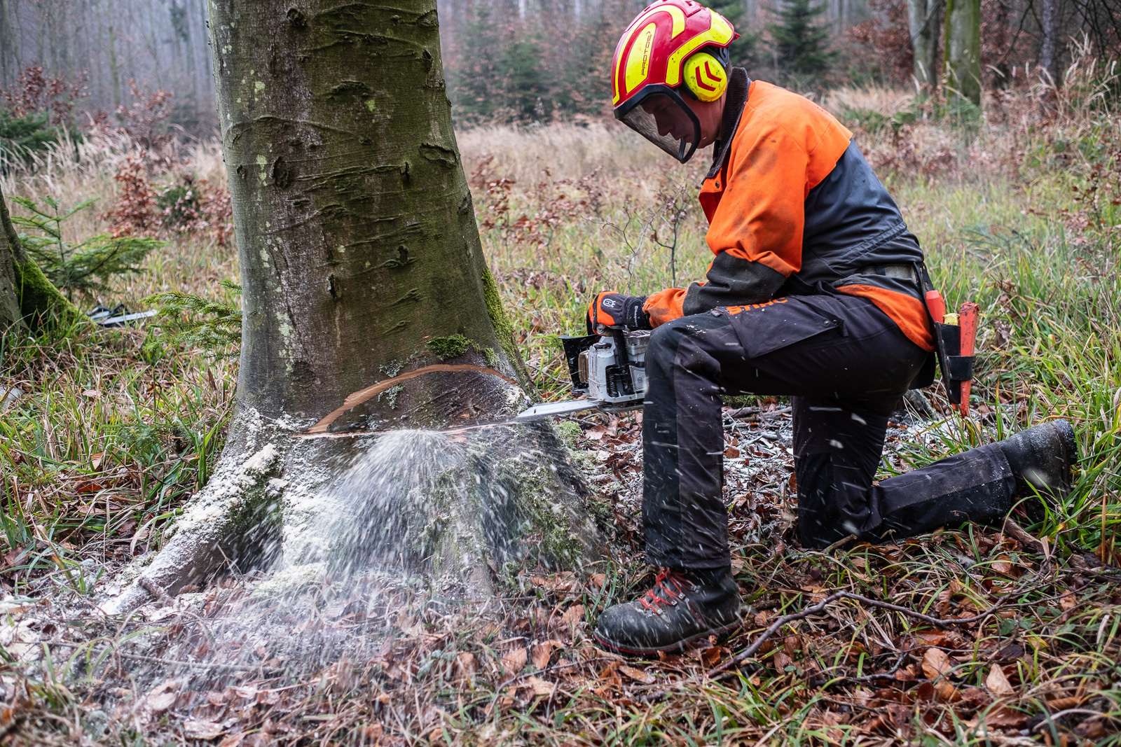 Waldarbeit Persönliche Schutzausrüstung.jpg