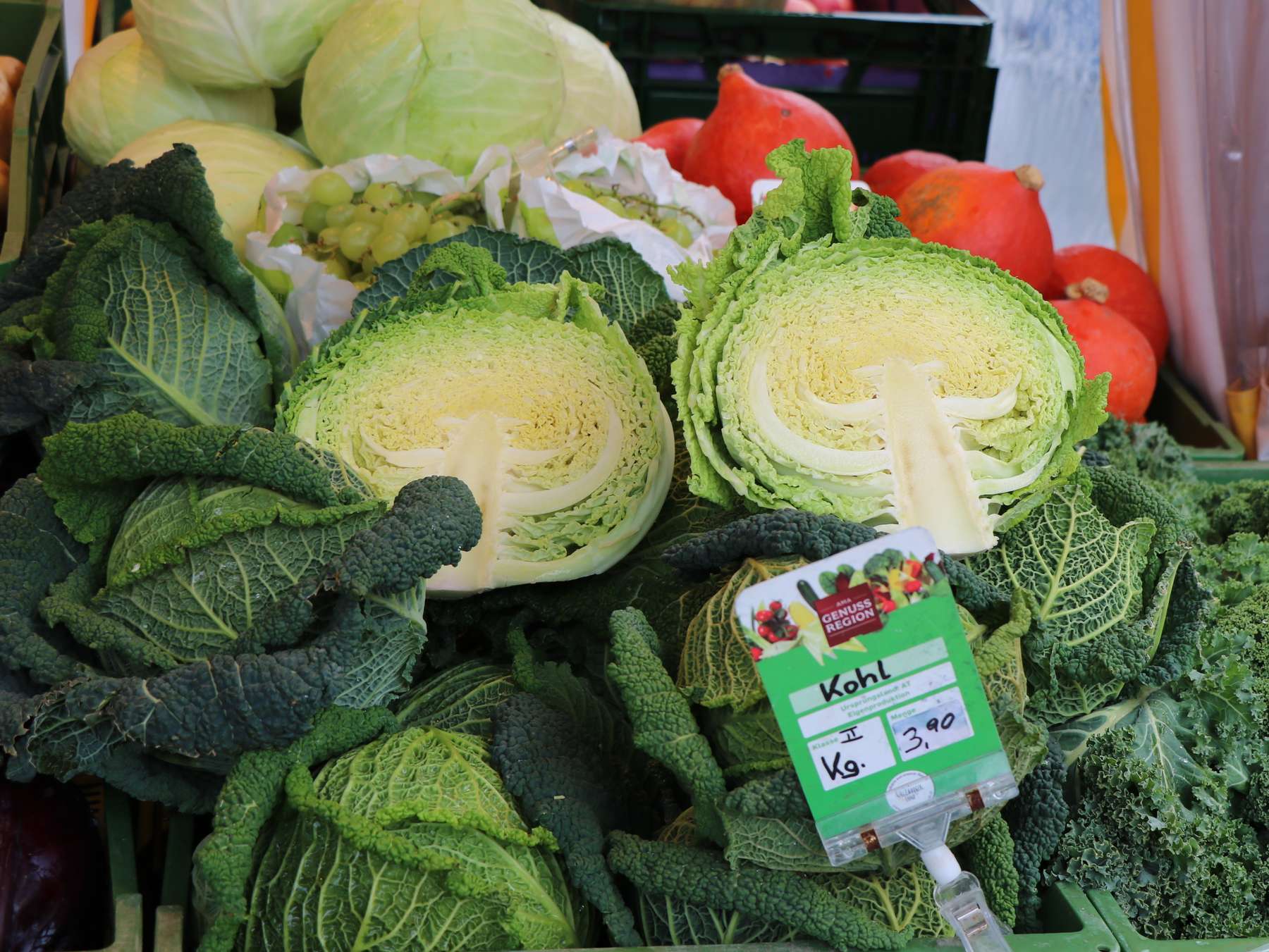 sb05_mt_kohl.jpg © Dürnberger sb05_mt_kohl.jpg © Dürnberger