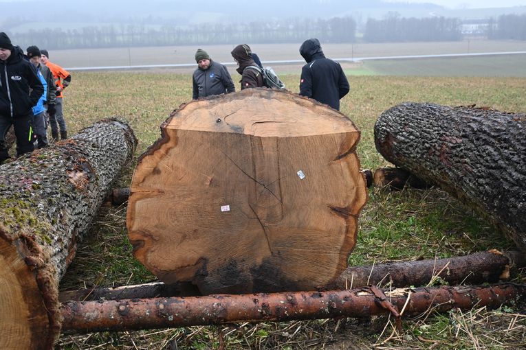 © Landwirtschaftskammer OÖ