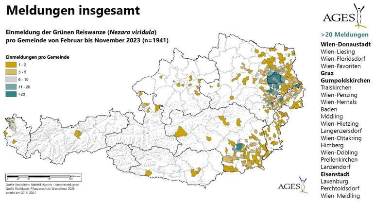 3 Meldungen Grüne Reiswanze 2023.jpg