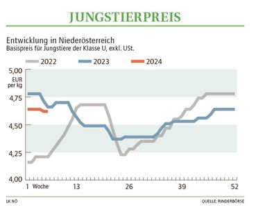 Grafik Stierpreis 06 2024.jpg